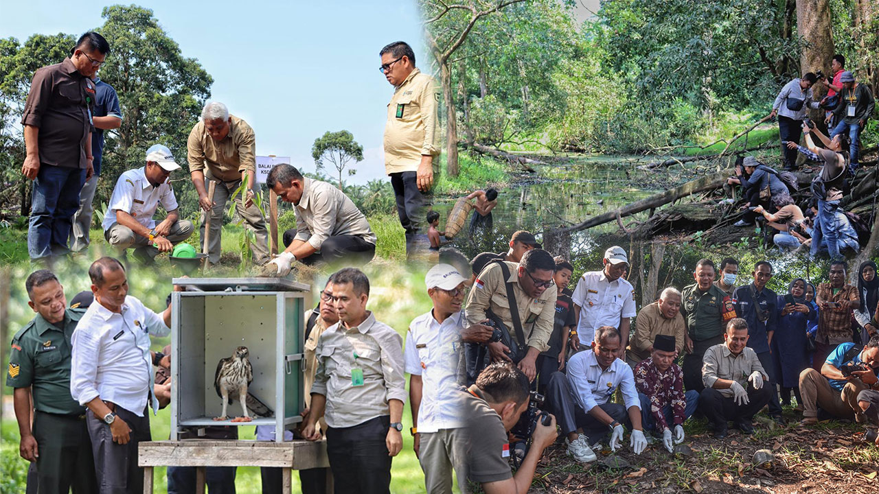 BALAI BESAR KSDA RIAU ADAKAN LOMBA FOTOGRAFI, PELEPASLIARAN DAN PENANAMAN POHON DI TWA BULUH CINA