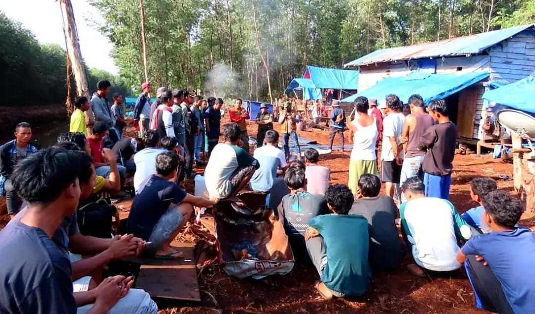 HARIMAU SERANG KARYAWAN HTI