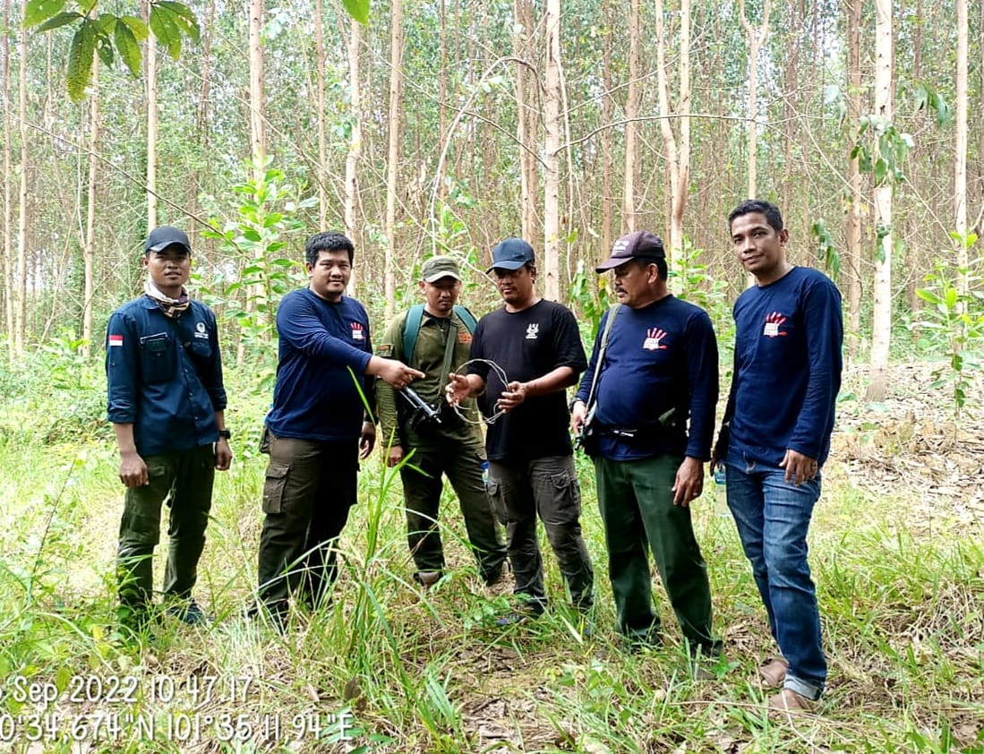 TIM GABUNGAN KSDA RIAU LAKUKAN PATROLI TERKAIT LAPORAN MASYARAKAT TENTANG ADANYA PEMBUKAAN LAHAN DI SM GSK