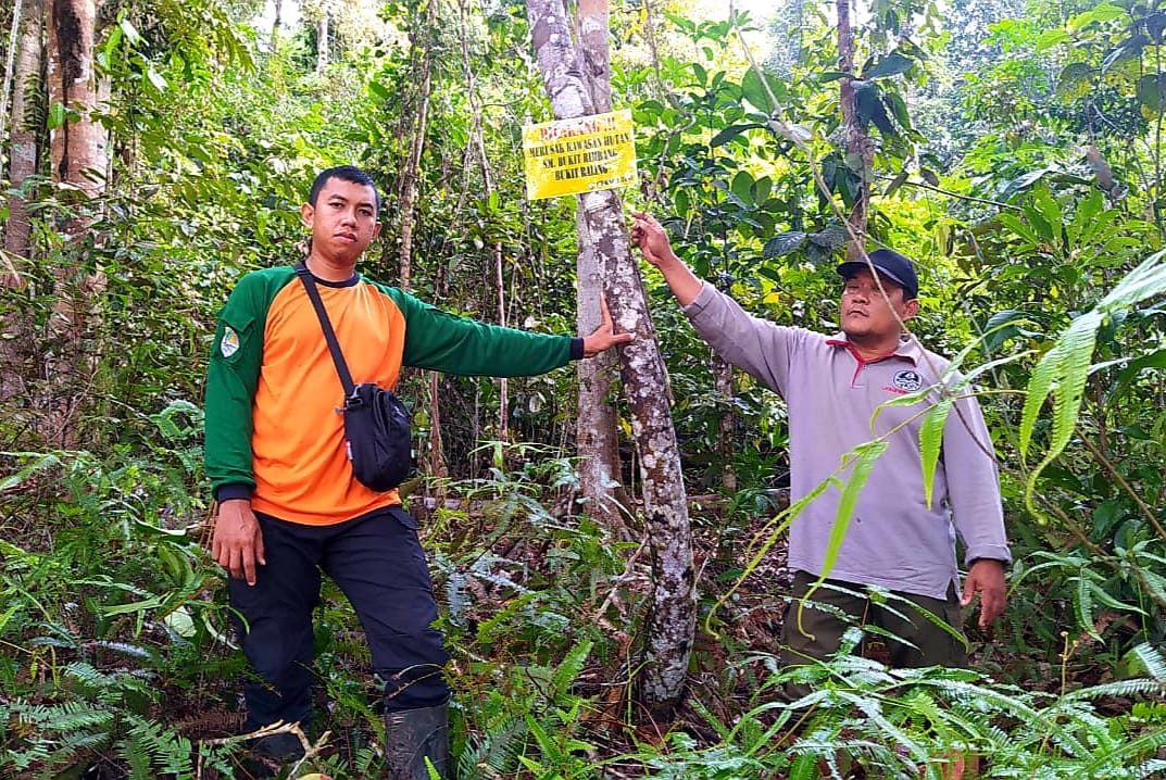 PATROLI PENGAMANAN KAWASAN TEMUKAN ADANYA AKTIVITAS PENGAMBILAN KAYU CEROCOK