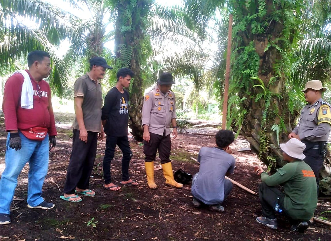 MITIGASI KONFLIK DI KABUPATEN ROKAN HILIR