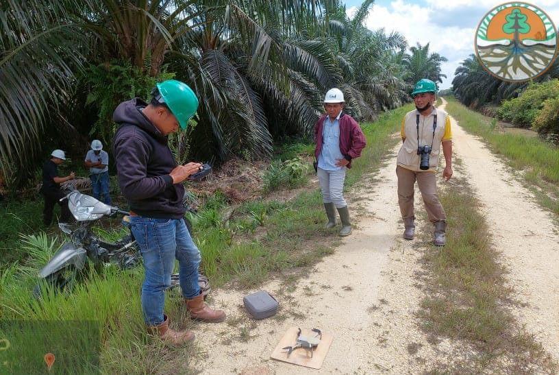 MONITORING KEMUNCULAN HARIMAU SUMATERA DI AREAL LINDUNG PT INECDA