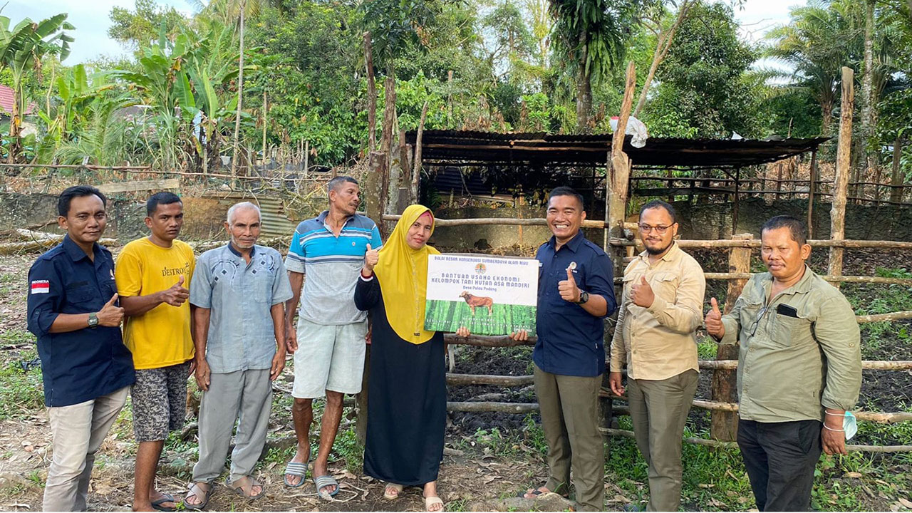 BALAI BESAR KSDA RIAU SERAHKAN BANTUAN EKONOMI KEPADA KELOMPOK TANI HUTAN DI KABUPATEN KUANSING