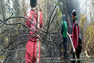 PEMADAMAN DI KAWASAN SM GIAM SIAK KECIL TERUS DILAKUKAN OLEH PETUGAS BALAI BESAR KSDA RIAU