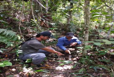PATROLI PENGAMANAN KAWASAN CAGAR ALAM BUKIT BUNGKUK, KABUPATEN KAMPAR
