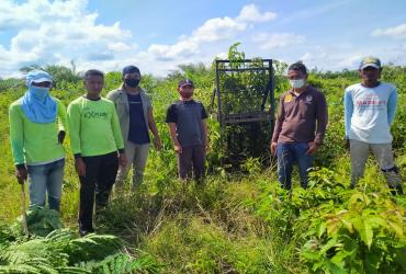 PENANGANAN KONFLIK BERUANG MADU DI KECAMATAN KEPENUHAN, KABUPATEN ROKAN HULU
