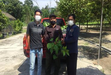PENYERAHAN BANTUAN BIBIT KE MASYARAKAT SEKITAR SUAKA MARGASATWA BUKIT RIMBANG BUKIT BALING, KABUPATEN KAMPAR