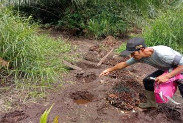 RESPON CEPAT PETUGAS BALAI BESAR KSDA RIAU DALAM PENANGANAN KONFLIK GAJAH SUMATERA