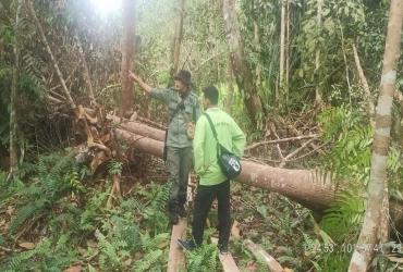 RESORT BUKIT BATU BALAI BESAR KSDA RIAU MELAKUKAN KEGIATAN PENYEMPROTAN DISINFEKTAN DAN PATROLI MANDIRI KAWASAN