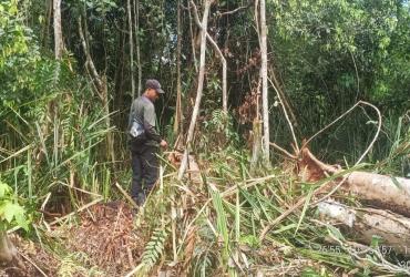 AMANKAN KAWASAN KONSERVASI SM BUKIT BATU RESORT BUKIT BATU BALAI BESAR KSDA RIAU BERPATROLI RUTIN