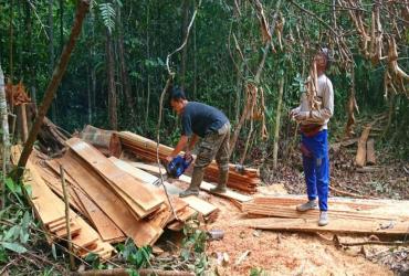 PATROLI RUTIN PENGAMAN DAN PERLINDUNGAN KAWASAN KONSERVASI SM KERUMUTAN MENEMUKAN BARANG BUKTI AKTIVITAS ILLEGAL LOGGING