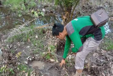 PEMANTAUAN PASCA KONFLIK GAJAH SUMATERA DI KECAMATAN PERANAP, KABUPATEN INDRAGIRI HULU