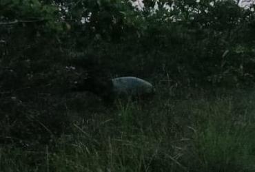 JERAT MEMBAHAYAKAN KESELAMATAN TAPIR DI KECAMATAN MINAS, KABUPATEN SIAK