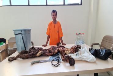 PERDAGANGAN SATWA LIAR HARIMAU SUMATERA TERUNGKAP OLEH BBKSDA RIAU