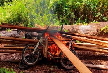 PENGAMAN KAWASAN SM KERUMUTAN SEMAKIN GENJAR DIGELAR OLEH BBKSDA RIAU KARENA KEGIATAN ILLEGAL LOGGING MASIH BERKELIARAN
