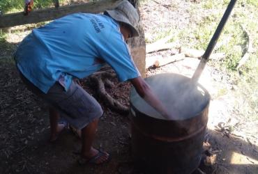 GAJAH PLG SEBANGA DAPAT ASUPAN GIZI