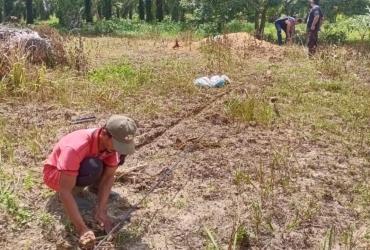 PEMBUATAN DEMPLOT PAKAN GAJAH PLG SEBANGA DILANJUTKAN