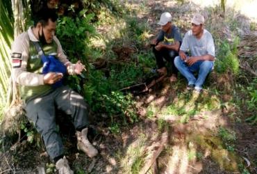 PENANGANAN KONFLIK BERUANG MADU DI KECAMATAN LANGGAM, KABUPATEN PELALAWAN