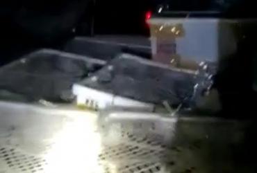BALAI BESAR KSDA RIAU SEKSI WILAYAH III GAGALKAN PENGANGKUT BURUNG TANPA DOKUMEN RESMI