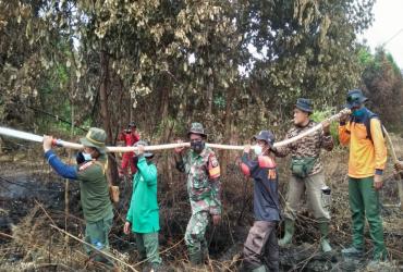 BALAI BESAR KSDA RIAU DAN TIM GABUNGAN PADAMKAN API DIHUTAN YANG BAKAR BAFERZON SM KERUMUTAN
