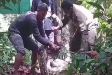 TIM RESORT BUKIT RIMBANG BALAI BESAR KSDA RIAU LEPAS LIARKAN ULAR SANCA