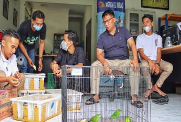 BALAI BESAR KSDA RIAU AMANKAN PENGANGKUT SATWA BURUNG ILLEGAL