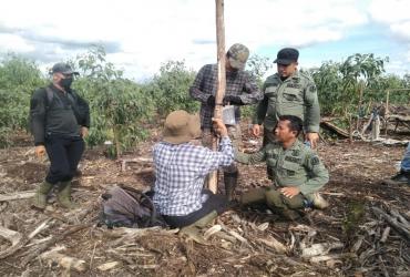 BALAI BESAR KSDA RIAU MENINDAKLANJUTI MITIGASI KONFLIK HARIMAU SUMATERA DI KECAMATAN GAUNG
