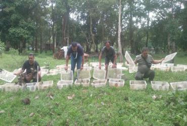 PELEPAS LIARAN BURUNG HASIL SITAAN POLRES PELALAWAN KE HABITATNYA