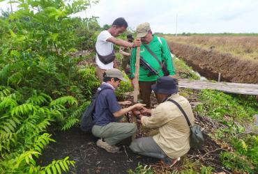 TIM BALAI BESAR KSDA RIAU CEK HASIL KAMERA TRAP