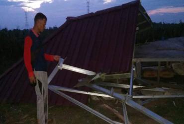 GAJAH LAGI GAJAH LAGI MENGGANGU KEBUN WARGA