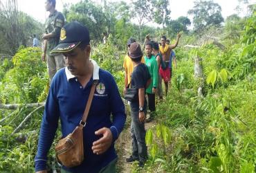 KONFLIK SATWA GAJAH LIAR DENGAN MANUSIA TERJADI LAGI DI DESA LAHAI DESA SIPANG DAN DESA KP BARU KABUPATEN INDRAGIRI HULU