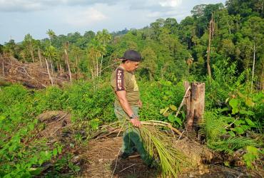 MITIGASI KONFLIK SATWA LIAR GAJAH SUMATERA YANG TERJADI DI INDRAGIRI HULU