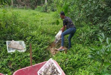BIDANG KSDA WILAYAH I BALAI BESAR KSDA RIAU EVAKUASI DAN LEPAS LIARKAN BURUNG KE HABITATNYA