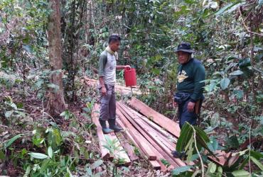 PATROLI PENGAMANAN KAWASAN RESORT BUKIT RIMBANG TEMUKAN BARANG BUKTI KEGIATAN ILLEGAL LOGGING BERUPA KAYU OLAHAN