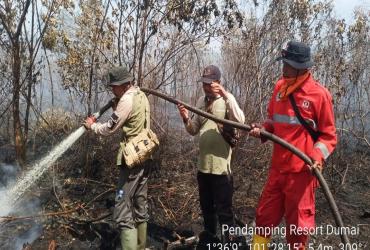 TIM GABUNGAN BALAI BESAR KSDA RIAU PADAMKAN SI JAGO MERAH YANG MELALAP KAWASAN TWA SUNGAI DUMAI