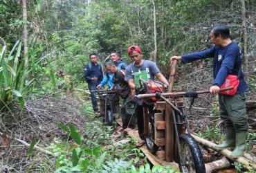 PATROLI DI SM KERUMUTAN MASIH DITEMUKAN AKTIVITAS ILLEGAL LOGGING