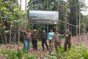 PATROLI DI SM. BUKIT RIMBANG BUKIT BALING MASIH DITEMUKAN AKTIVITAS PERAMBAHAN