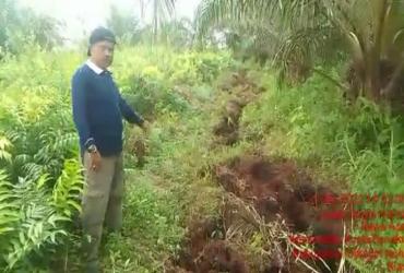 TIM BALAI BESAR KSDA RIAU BERSAMA MITRA PANTAU PERGERAKAN SATWA GAJAH YANG MASUK PEMUKIMAN WARGA