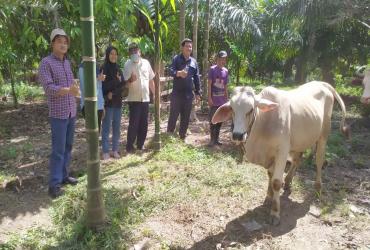 BALAI BESAR KSDA RIAU MONITOR PERKEMBANGAN USAHA KELOMPOK TANI HUTAN TUNAS BARU
