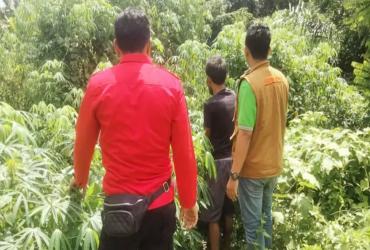BBKSDA RIAU BERSAMA MITRA CEK LOKASI TEMPAT KEMUNCULAN SATWA BERUANG