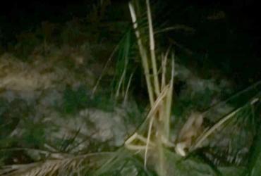 BBKSDA RIAU LAKUKAN PEMANTAUAN KEBERADAAN SATWA GAJAH LIAR YANG MEMAKAN TANAMAN SAWIT WARGA