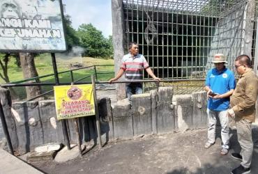 KSDA RIAU CEK LOKASI TEMPAT KEJADIAN VIDEO VIRAL DI MEDIA SOSIAL SEORANG WARGA YANG DITARIK SEEKOR ORANG UTAN DARI DALAM KANDANG