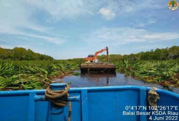 AKTIVITAS ILLEGAL LOGGING MASIH MARAK TERJADI DALAM KAWASAN SM KERUMUTAN
