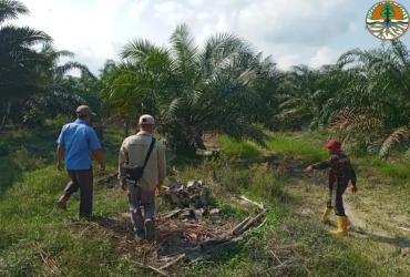 MITIGASI KONFLIK SATWA GAJAH DI DESA SUKA MAKMUR KAMPAR