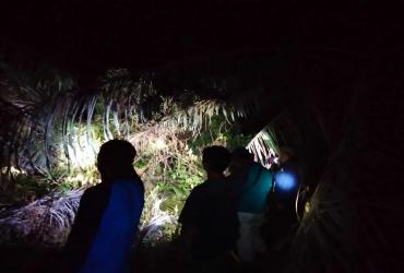 MITIGASI KONFLIK GAJAH SUMATERA DI DESA LUBUK KEMBANG BUNGA
