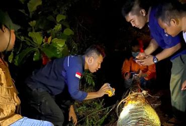 EVAKUASI BANGKAI BUAYA SINYULONG YANG DITEMUKAN SUDAH MATI
