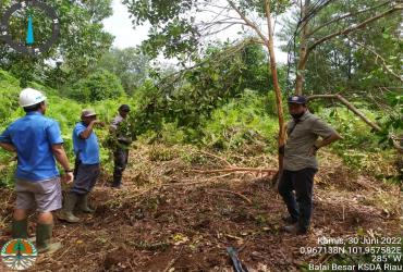 RESORT SIAK MELAKUKAN MITIGASI KONFLIK GAJAH SUMATERA DI DESA BUANTAN BESAR, KABUPATEN SIAK