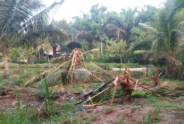 MITIGASI KONFLIK SATWA BERUANG MADU DI DUSUN TASIK INDAH DESA SEGATI KECAMATAN LANGGAM KABUPATEN PELALAWAN