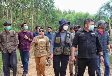 KUNJUNGAN KERJA DIREKTUR KONSERVASI KEANEKARAGAMAN HAYATI DAN SUMBER DAYA GENETIK (KKHSDG) KEMENLHK KE PROVINSI RIAU