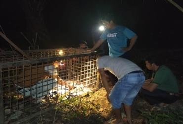 MITIGASI KONFLIK BERUANG MADU DI DESA SEGATI, KECAMATAN LANGGAM, KABUPATEN PELALAWAN